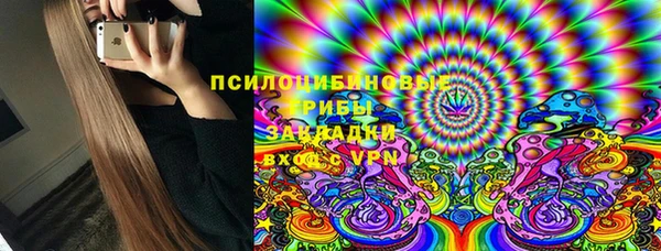 мяу мяу мука Бородино