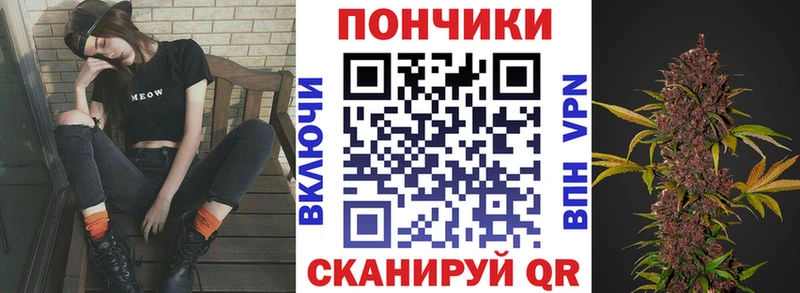 где можно купить Щучье Бошки Шишки MAZAR